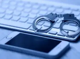 皮卡新势力崛起！2025成都车展长城炮遇劲敌