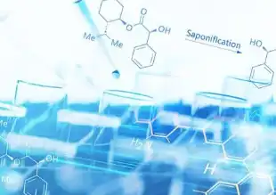 羽球团体赛燃情开打 石宇奇陈雨菲领衔出战