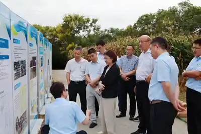 江苏惊现地下黄金城，一地挖出巨额金矿