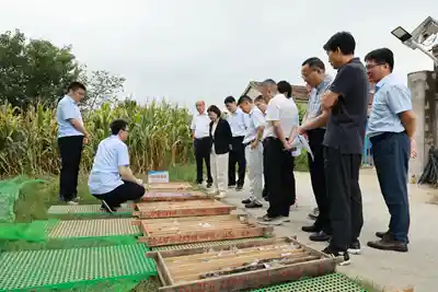 江苏惊现地下黄金城,一地挖出巨额金矿