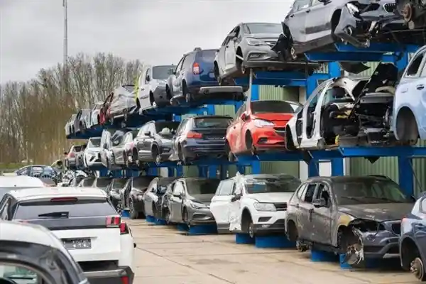 齐普策发问：2035禁售燃油车，真能推动绿色未来？